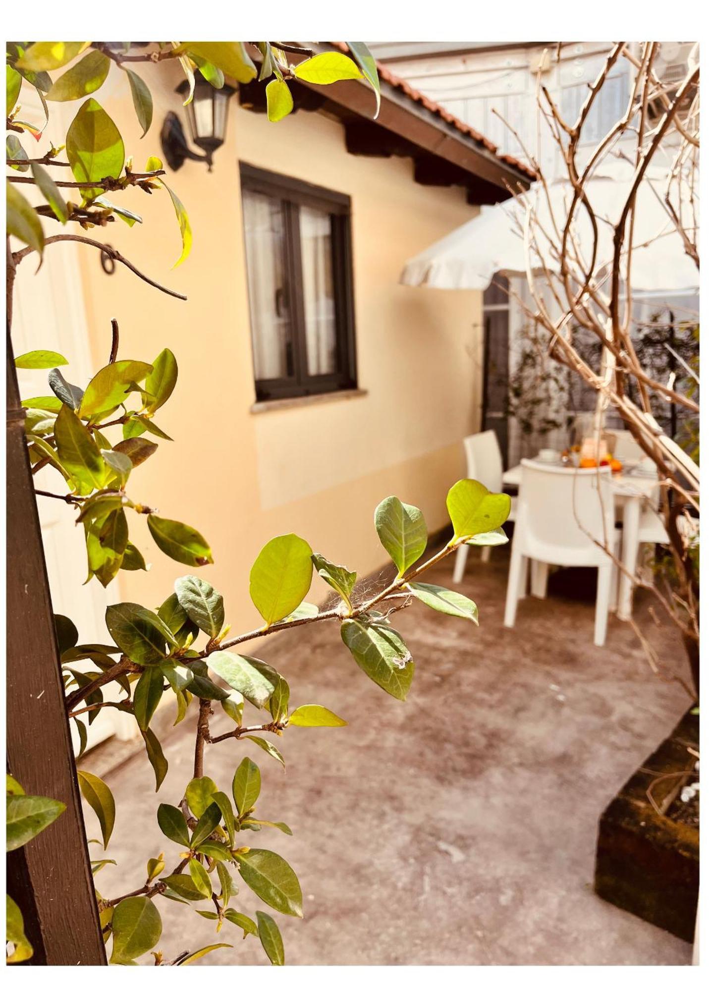 La Torraccia Hotel Tarquinia